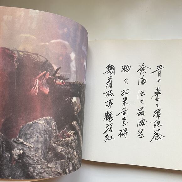Seung Sahn Zen Master Memorial Book 2005 Text Photos Su Bong Hong Kong Monsatery - Picture 10 of 16